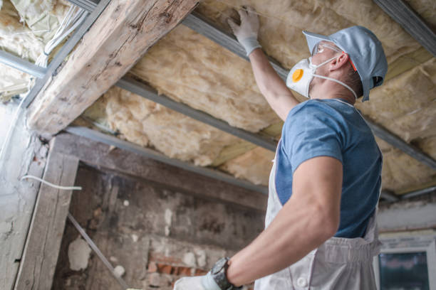 Best Insulation for Specific Applications in Meadowood, PA